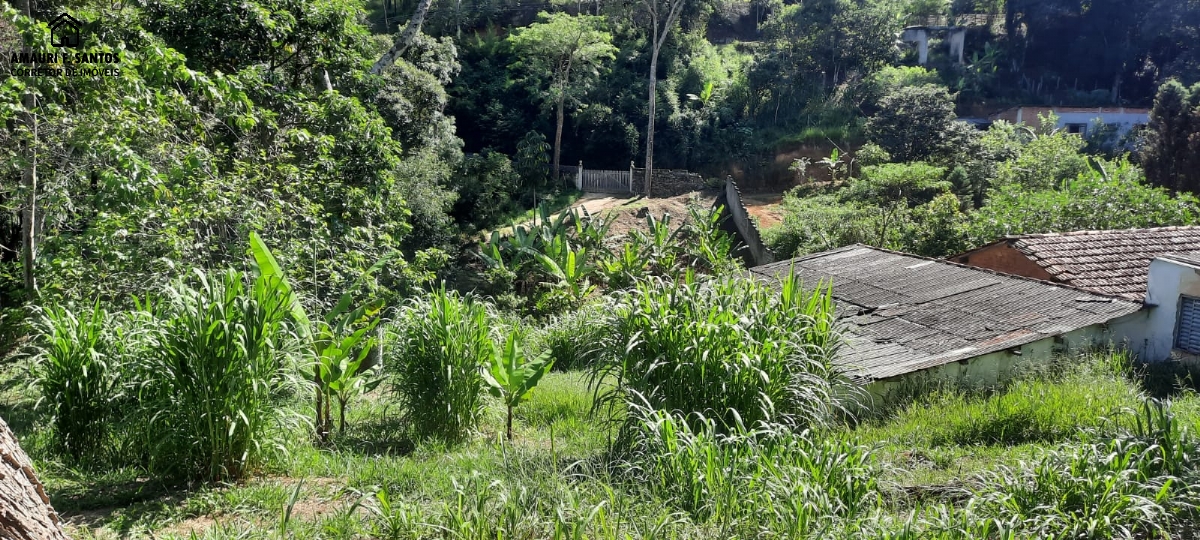 Sítio em , São Roque - Foto 23